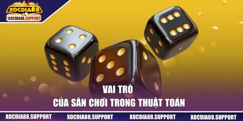 Vai trò của sân chơi trong thuật toán